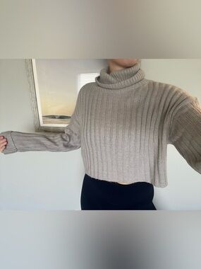 Gray Turtleneck Sweater Cropped